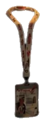 lanyard